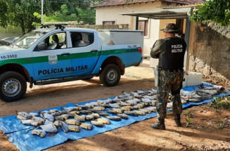 Operação Piracema apreende 902 kg de pescado e aplica R$ 134 mil em multas
