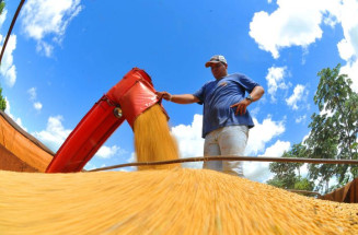 Exportações de MS batem recorde e chegam a US$ 10,517 bi em 2023