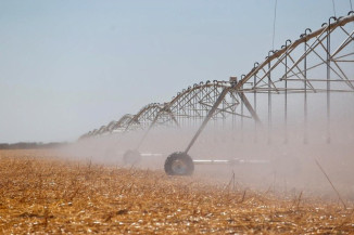Saiba como receber incentivos fiscais para produção agrícola irrigada