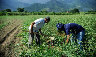 Governo Federal lançará Plataforma Digital de Inovação Agropecuária