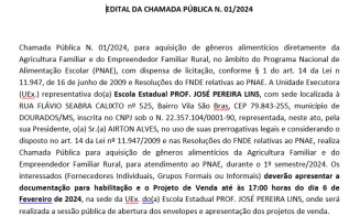 Chamada pública da EE PROF. JOSÉ PEREIRA LINS