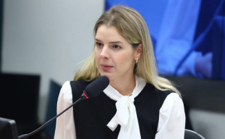 Comissão aprova projeto que exclui BPC de pessoa com deficiência em cálculo do Bolsa Família