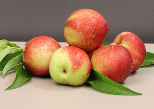 Novas nectarinas garantem oferta de fruta por mais tempo ao consumidor