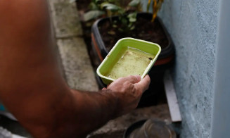 Vacina da dengue agrega outras estratégias de combate