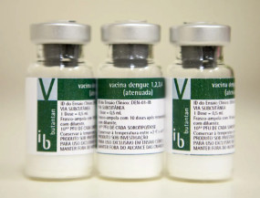 Vacina de dose única do Butantan contra dengue é eficaz e seguirá para aprovação da Anvisa