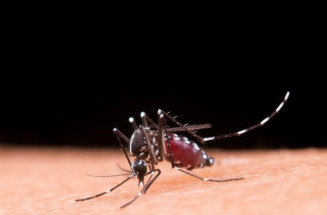 Saiba as diferenças entre sintomas de gripe e da dengue