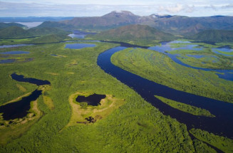 Com atuação coordenada por terra e ar, bombeiros de MS controlam incêndio no Pantanal