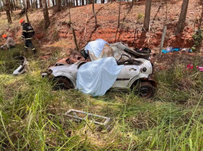 Casal morre em acidente entre carro e caminhão na BR-376