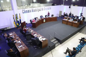 Câmara aprova projeto de lei para combater o abandono de animais