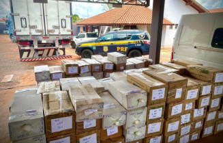 Polícia apreende 7 mil celulares em carga de carreta frigorífica