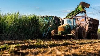 Indústria de biocombustíveis abre 120 vagas de trabalho em MS