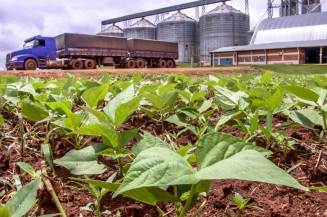 MS tem o maior PIB do agronegócio entre os estados