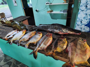PMA aplica R$ 53, 6 mil em multas no 1º fim de semana de pesca aberta
