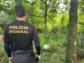 PF investiga trabalho escravo de paraguaios em fazendas de MS e um pessoa é presa