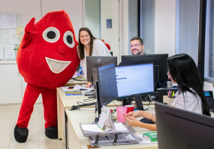 TCE-MS incentiva doação de sangue e medula óssea