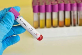 Brasil já tem 391 mortes por dengue em 2024, diz Ministério da Saúde