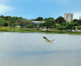Outono será de tempo seco e pouca chuva em MS