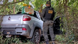 Perseguido por helicóptero, homem abandona veículo com maconha e skunk em estrada vicinal