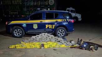 Com ajuda de cães, PRF encontra cocaína em pneus de caminhão na BR-163