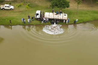 Parques Antenor Martins e Rego D’Água recebem 3,5 toneladas de peixes; pesca será de quinta a sábado