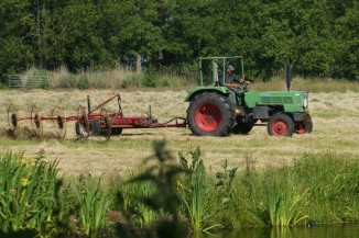 Produtores de 16 estados poderão renegociar dívidas do crédito rural