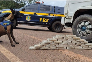 PRF apreende 36 kg de cocaína  com ajuda de cães farejadores
