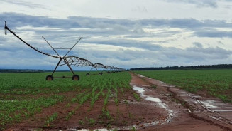 Governos estadual e federal alinham criação de polo de irrigação em MS