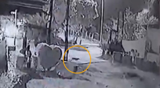 Bombeiro orienta população sobre cuidados ao avistar onça-pintada em Corumbá