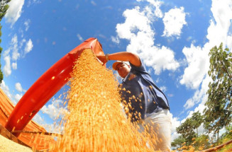 Exportações: superávit de MS cresce 16,7% e chega a 1,5 bilhão de dólares no 1º trimestre de 2024