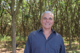Motivado pelo Senar/MS, produtor de seringueira de Aparecida do Taboado transformou ideia em sucesso