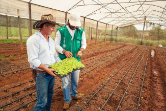 ATeG do Senar/MS leva atendimento personalizado e faz história na evolução do agro em MS