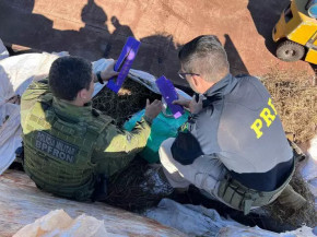Carga de maconha misturada com alfafa e preparada em MS é apreendida no PR