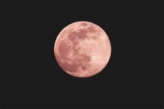 'Lua Cheia Rosa' poderá ser vista nesta terça-feira no Brasil