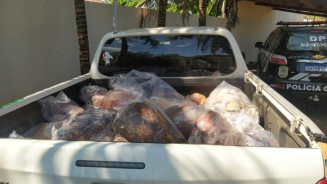 Policiais recolhem 430 kg de alimentos em desacordo com normas sanitárias