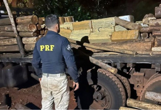 PRF apreende mais de 2 toneladas de maconha em meio a carga de eucalipto