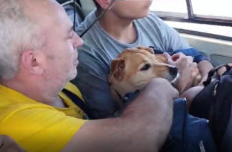 Crianças, idosos e animais são resgatados em helicóptero de MS
