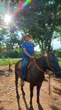 O gaúcho e o cavalo, o amigo de 4 patas; por José Tibiriçá