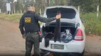 Policial do DOF segurando parte da carga de cabelo apreendida (Foto: Divulgação