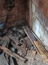 Jiboia de 1,20 metro invade quartinho de casa em MS