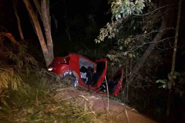 Carro saiu da pista e bateu em árvore (Foto: Divulgação)