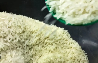 Justiça suspende leilão para compra de arroz importado
