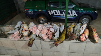 PMA realiza apreensão de 283 kg de pescado e veículo em Bonito
