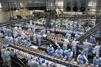 Exportação de industrializados de MS alcança US$ 2,37 bilhões entre janeiro e maio