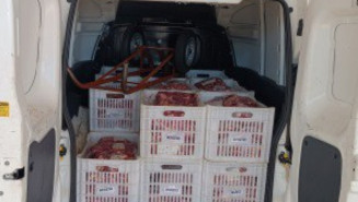 O motorista foi detido e a carne foi apreendida pela equipe policial (Foto: Divulgação/PRF)