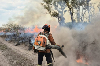 Polícia Federal vai investigar origem de incênsdios no Pantanal