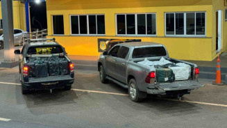 Polícia apreende R$ 32,5 milhões em cocaína escondido em carregamento de carne
