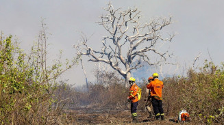Foto: Alvaro Rezende/Governo de MS)