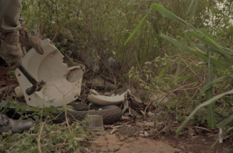 MS registra 14.033 casos confirmados de dengue