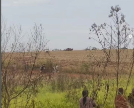 Caminhonetes perseguem indígenas em Douradina - Foto: Coletivo Terra Vermelha/ Reprodução do Instagram
