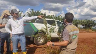 Iagro abre concurso para veterinários com 29 vagas e salário de até R$ 7,2 mil